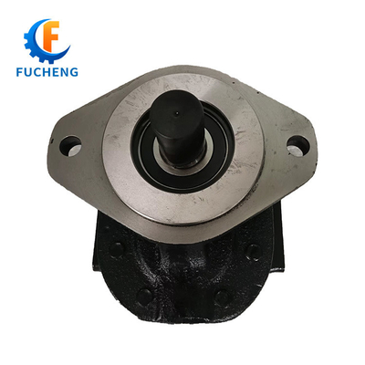 Standard M76A898BEOX30 Motore idraulico/pompa per applicazioni industriali di Fucheng