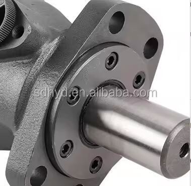 Sauer OMH BM OM 36 50 80 100 125 160 200 250 315 400 Motore idraulico in orbita e kit di sigilli