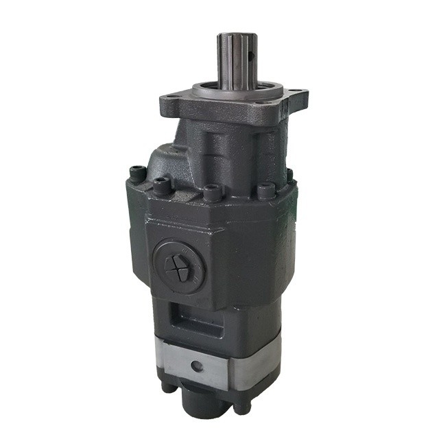 Pompa idraulica standard CbhsN17-80 per scaricatori a prestazioni nere