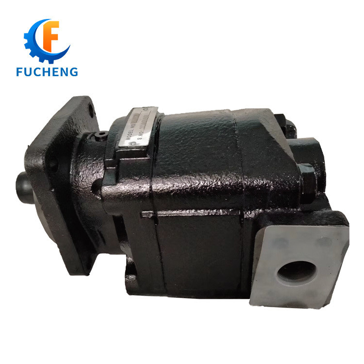 Parker PGM M365 Serie M365A878CSEB22 Motore di ingranaggi in ghisa per applicazioni standard