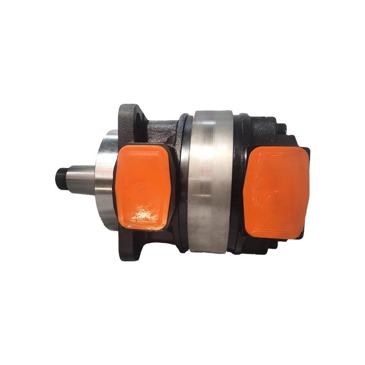 Struttura standard pompa rotativa Rexroth MV serie motori a cilindrata ad alta coppia MV037-D2-2S-020-31