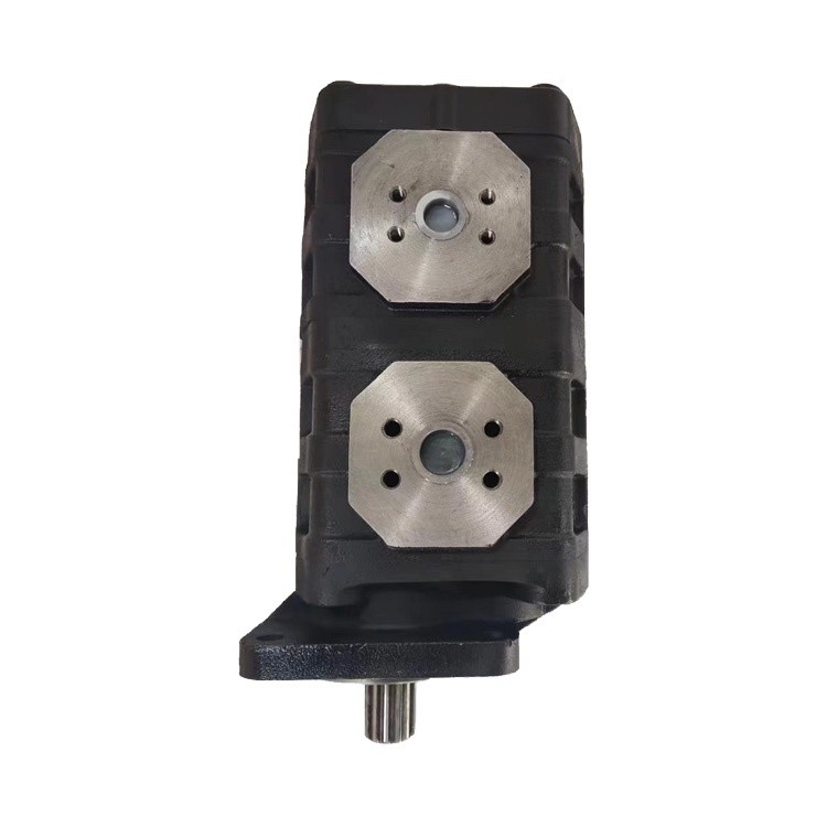 Pompa idraulica in ferro fuso standard in alluminio Cbgj2063/2050R